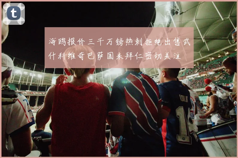 海鸥报价三千万镑热刺拒绝出售武什科维奇巴萨国米拜仁密切关注