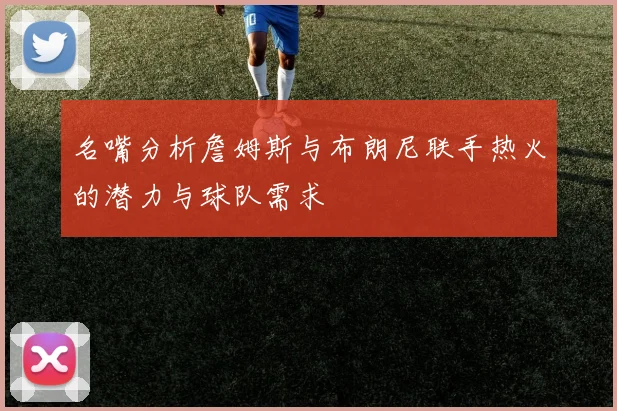 名嘴分析詹姆斯与布朗尼联手热火的潜力与球队需求